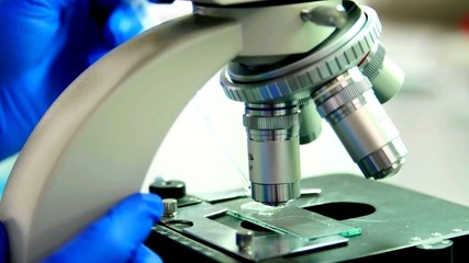 Focus on a microscope handling by a person with blue latex gloves