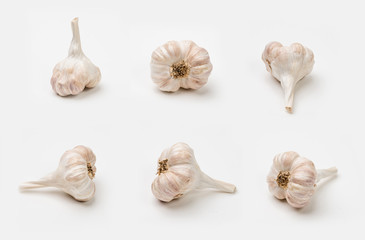 Close-up garlic on a white background