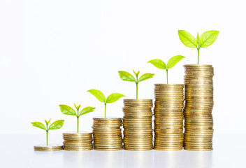 coin stack money saving concept. green leaf plant growth on rows of coin on white background. money...