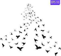 A flock of flying birds. Transparent background.	
