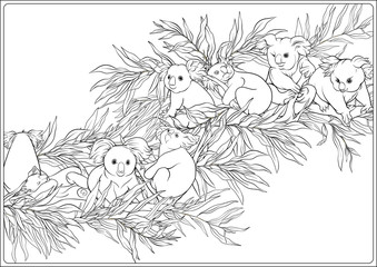 Koala and eucalyptus. Coloring page for the adult coloring book. Outline hand drawing vector illustration..