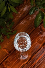 Water glass and plant on a wooden brown wet table.