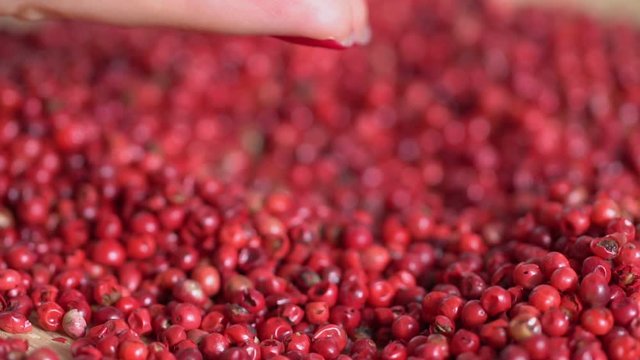 Food spices pink peppercorns red pepper Himalayan pepper berries. concept of fresh and dietary spices for cooking schools vegans and dietary products