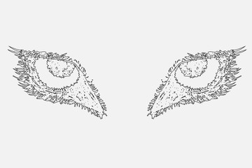 Naklejka premium The eyes of a wild animal drawn by hand. The wolf's eyes drawn in pencil. An aggressive look forward.