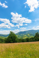 fields and meadows of rural landscape in summer. idyllic mountain scenery on a sunny day. grass covered hills rolling in to the distant ridge beneath a bright blue sky with fluffy clouds