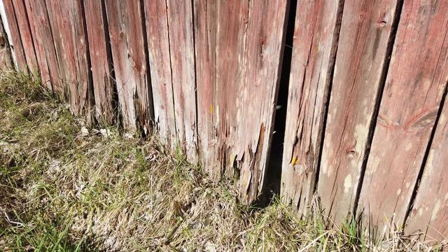 Red weathered wooden barn wall in bad condition.