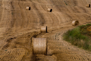 Krajobraz Toskanii, bale słomy na polu - Włochy © Mariusz Konopnicki