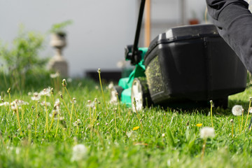 Rasenmäher bewegt sich durch einen Garten von der Kamera weg in der Froschperspektive
