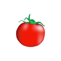 Fresh tomato illustration vector for business design element