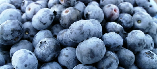 Blueberry background and blue big berries closeup