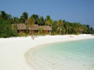 tropical beach with coconut palm trees, Veligandu island, Maldives