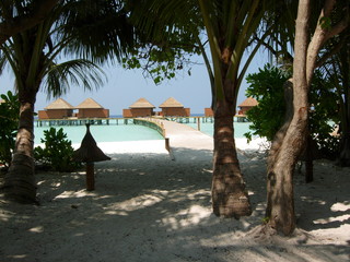tropical beach and resort, Veligandu island, Maldives