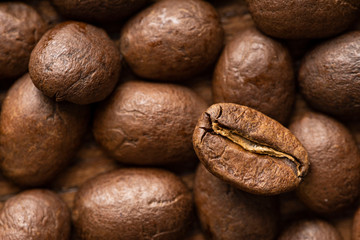 coffee beans macro