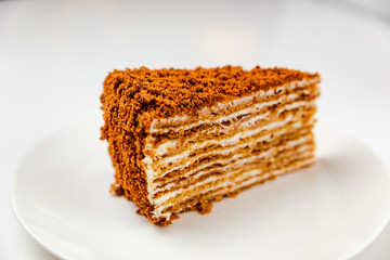 Traditional delicious honey cake on a white plate