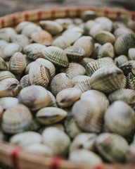 Clamshells in a woven basket being sold in the market.
