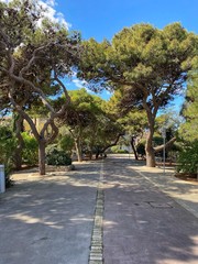 Obraz premium road in the park