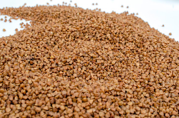 peeled buckwheat grain closeup with place for an inscription