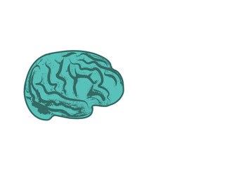 Brain illustration in vector format