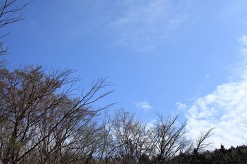 It is located in Shizuoka