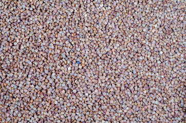 buckwheat on a close-up. solid abstract background