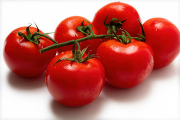 Tomaten vor weiß