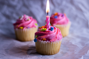 Cupcakes decorated with pink icing and sprinkles with a lit candle
