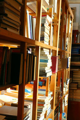 Bookshelves in the public library, shelves of colorful books of different genres, educational and fiction. Concept of reading books.