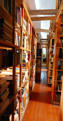 Bookshelves in the public library, shelves of colorful books of different genres, educational and fiction. Concept of reading books.