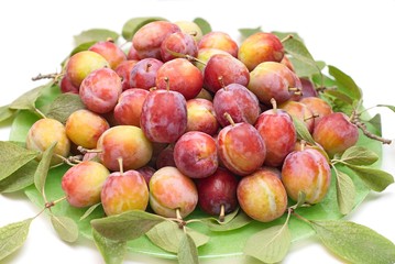 Fresh plums in a plate