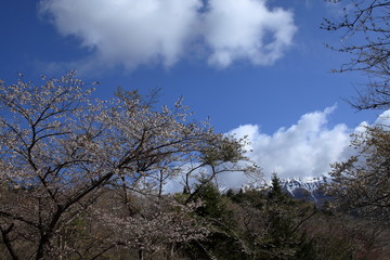 It is located in Shizuoka