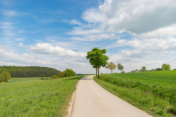 Fototapeta na wymiar Der asphaltierter Weg führt durch die Landschaft in Mittelfranken nahe Herrieden. Das grün der Wiesen und Bäume leuchtet und der Himmel ist teilweise bewölkt, ansonsten blau.