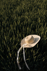 Hat lies on a field of wheat at sunset - 345997198