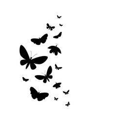 Butterfly background in black color isolated on white