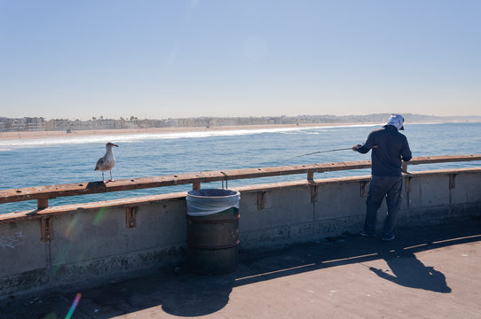 Seagull and a fisherman in Venice Beach location, LA, CA