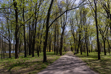 green park in early spring