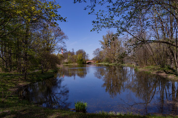 Obraz premium beautiful lake in the park in early spring in Poland
