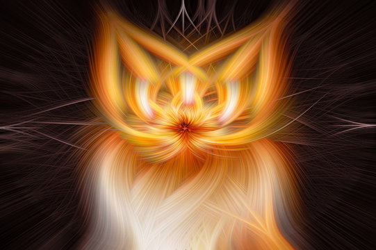 Abstract swirl image with base photo of ginger cat