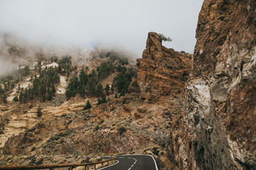 cliffs of tenerife