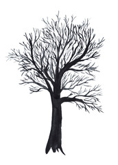 Black naked tree