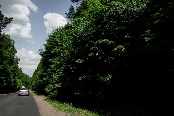 road in the forest