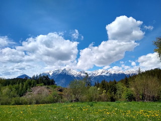 Panoramablick über Frühlingswiese auf Tirols schneebedeckte Nordkette mit atemberaubenden Wolkenformationen