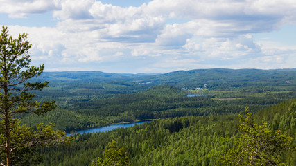 Fototapeta na wymiar View from a mountain with lake and forest