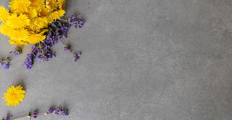 Żółte i fioletowe kwiaty polne na betonowym tle z miejscem na opis