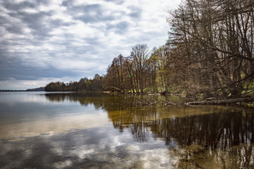 Brzeg jeziora Hańcza na tle zachmurzonego nieba w słoneczny wiosenny dzień