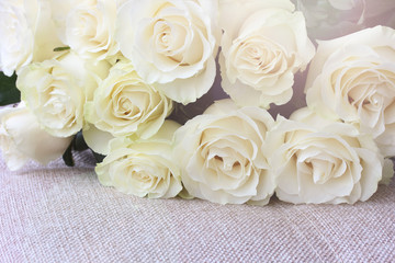 bouquet of light cream roses on a fabric surface.