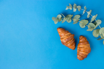 Two Croissants and eucalyptus leaves on Blue background. Good Morning or food concept. Flat lay banner, top view, copy space.
