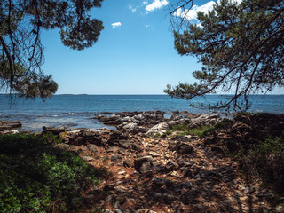Fototapeta na wymiar The rocky Adriatic coast with trees during a sunny day