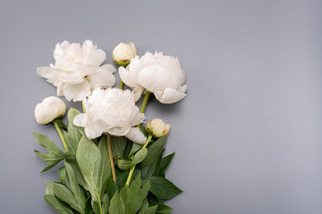 Obraz na płótnie Canvas Bouquet of white peonies on a gray background.