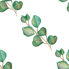Obraz premium Watercolor hand painted nature greenery seamless pattern with green eucalyptus leaves on branches composition isolated on the white background, trendy botany print for design elements 