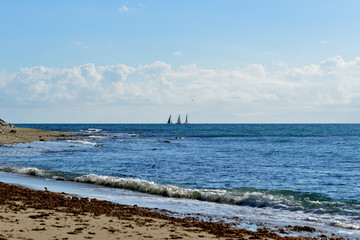 Fototapeta na wymiar veleros en el mar en Marbella 